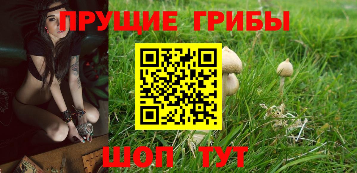 Псилоцибиновые грибы ЛСД Лысьва